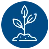 Icon of a plant sprouting with three leaves on a blue background, depicted in white lines.
